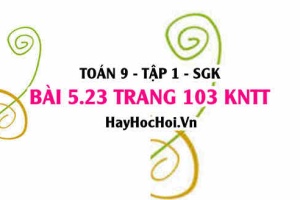 Bài 5.23 Toán 9 tập 1 SGK Kết nối tri thức